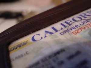 driver-license-california-359321